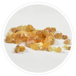 Boswellia