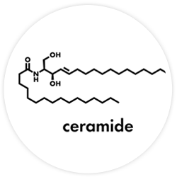 Ceramides