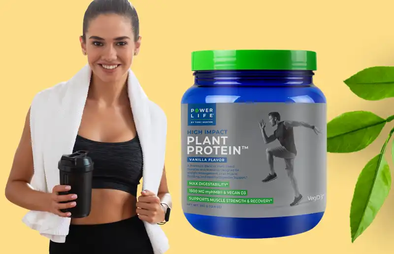 High Impact Plant Protein Reviews: Is It Worth Trying Out?