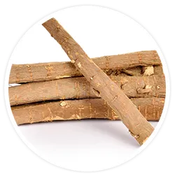 Licorice Root Extract