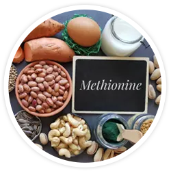 Methionine