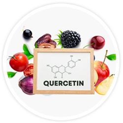 Quercetin