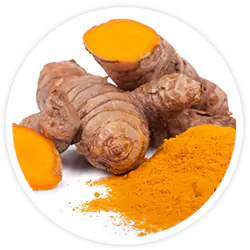 Turmeric